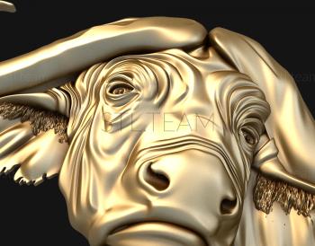 3D model Buffalo head (STL)